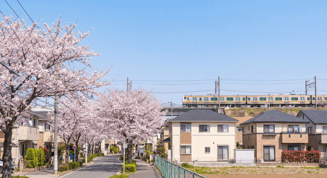 7 Best Tokyo Suburbs for Expats: The Definitive 2025 Relocation Guide